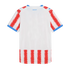 Back view of white Paraguay soccer jersey with red speckled stripes on sleeves and bottom, blue trim, and "PARAGUAY" printed on upper back.