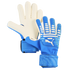 Puma Future Match NC Goalkeeper Gloves