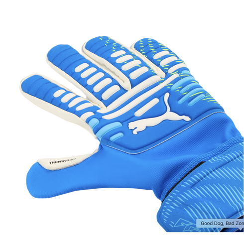 Puma Future Match NC Goalkeeper Gloves