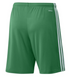 Adidas Squadra 21 Youth Shorts - Team Green