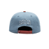 Gorra con cierre tipo snapback Fan Ink USA Swingman