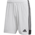 Adidas Tastigo 19 Shorts