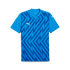 Blue Puma soccer jersey with a dark blue geometric zigzag pattern on the front and white Puma cat logos.